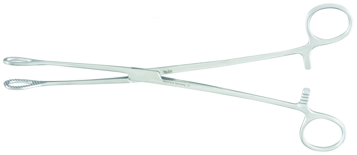 Forceps Sponge Forceps Miltex® Foerster 9-1/2 Inch Length OR Grade German Stainless Steel NonSterile Ratchet Lock Finger Ring Handle Straight Serrated Tip by Integra York PA, Inc. (Miltex)  ID 7-600